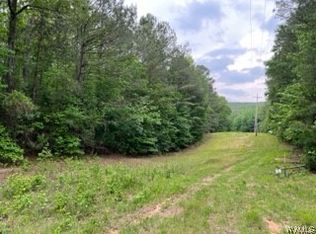 0 Brant Ward Rd, Cottondale, AL 35453