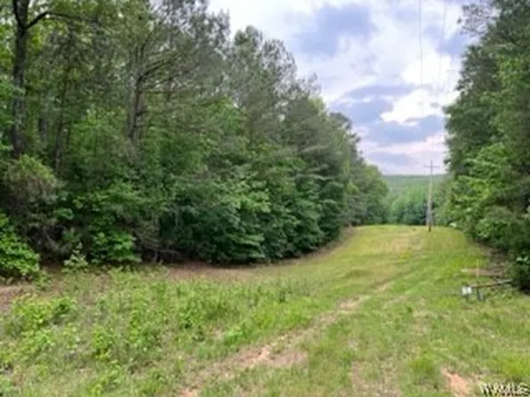 0 Brant Ward Rd, Cottondale, AL 35453