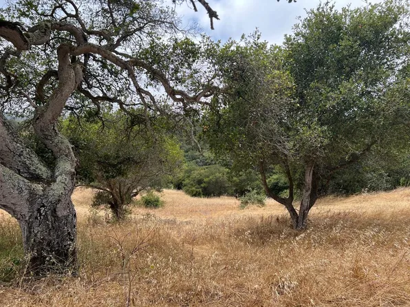 3230 Hillman Ln, Royal Oaks, CA 95076