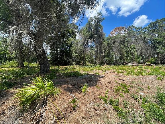 3rd image of COUNTY ROAD 42 LOT 411