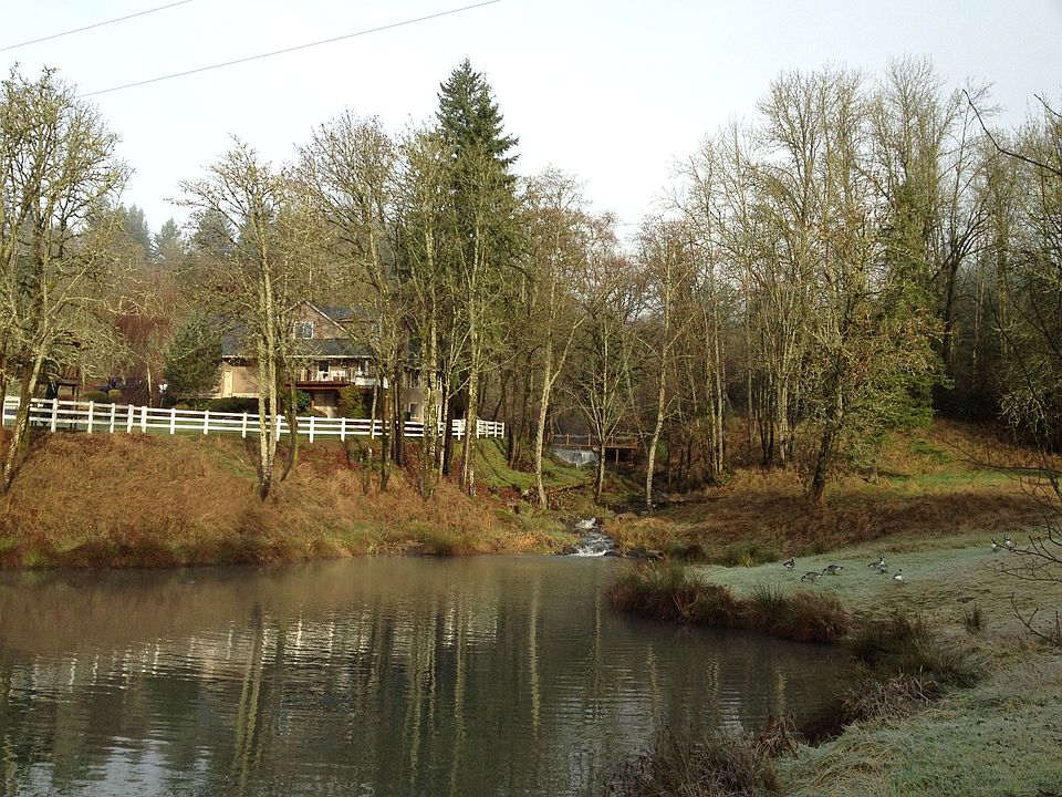 Home/Pond at Little Beaver Creek
