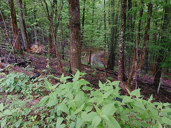 4th image of 3031 Whipoorwill Hill Way Lot 30&31