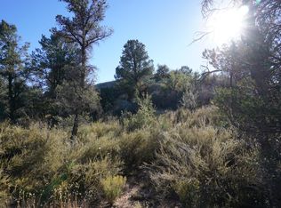 4565 W Murphys Station Cir, Prescott, AZ 86305