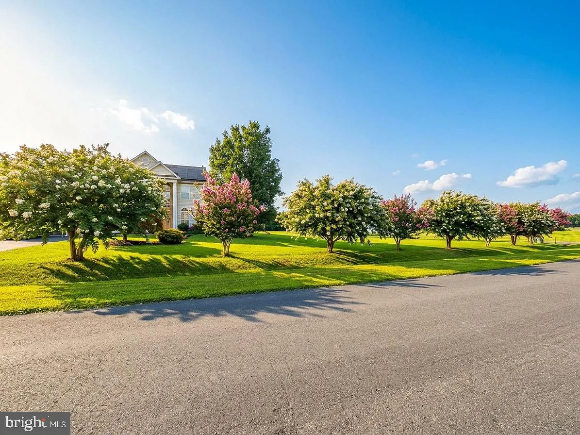 4 bed, 3.5 bath, 4194 sqft, $4,150 — Photo 4