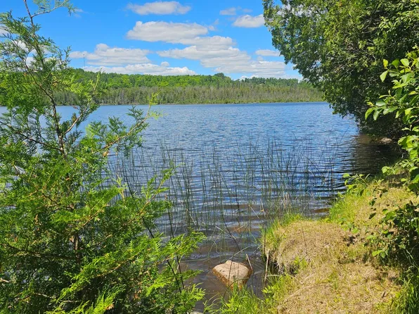 1441 Range Line Lake Ln, Wabeno, WI 54566