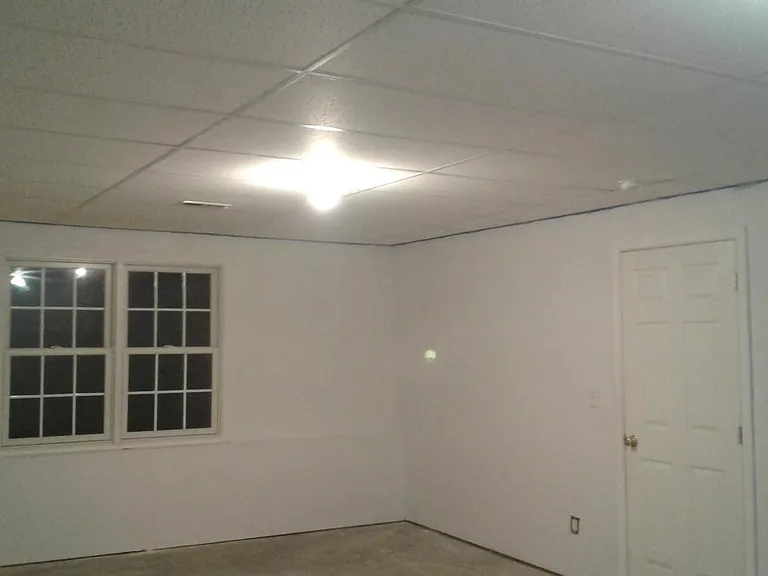 Basement view 1