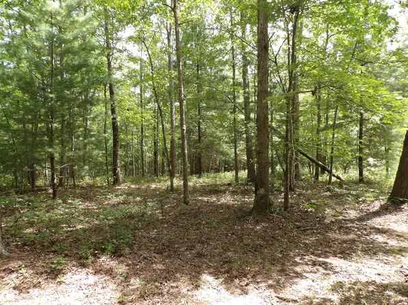 11 Lou Rd #109, Pikeville, TN 37367