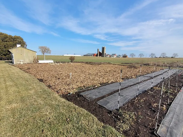331 Newport Rd — Photo 37