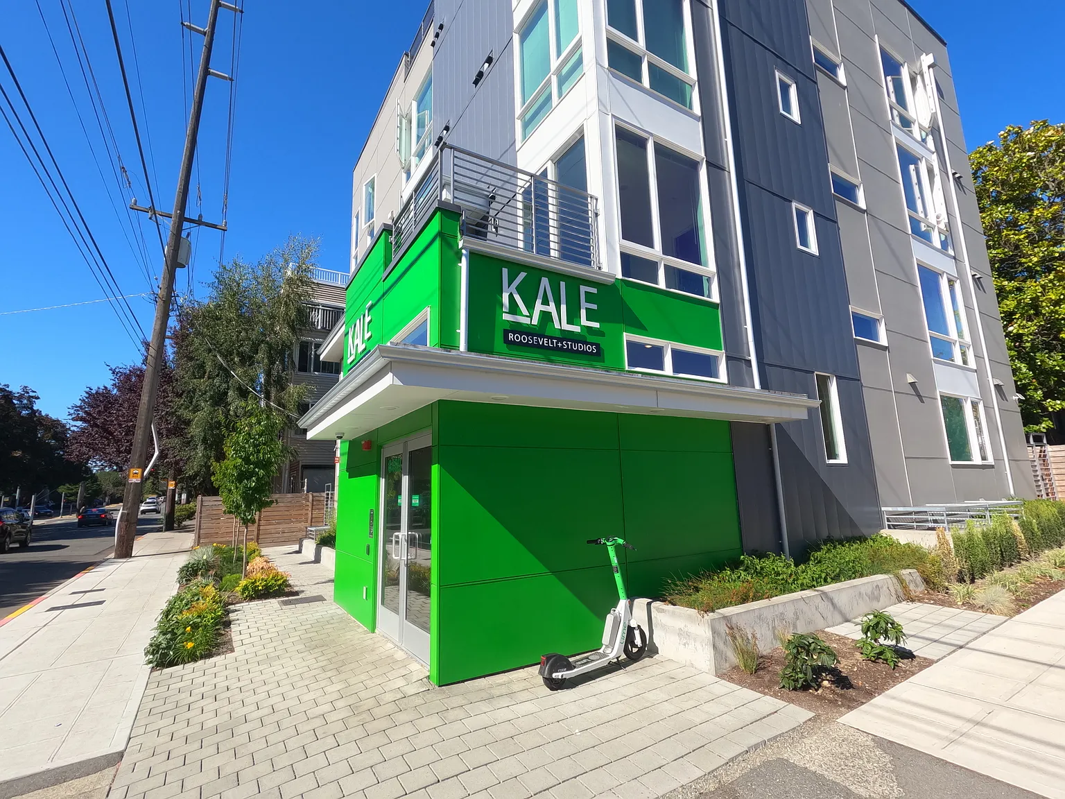 Kale Studios — Photo 3