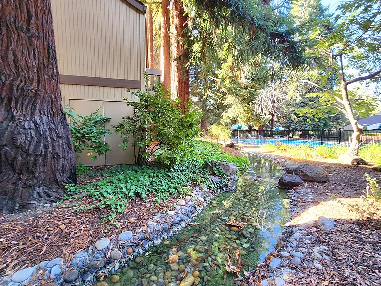 505 Cypress Point Dr #209 — Photo 35