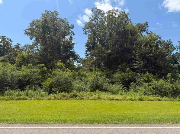 LOT 2 S Highway 99, Mc David, FL 32568