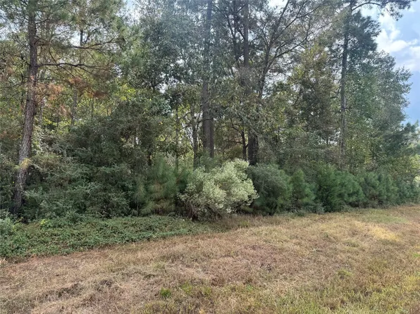 9-17-3B Winchester Rd Lot 9, Huntsville, TX 77340