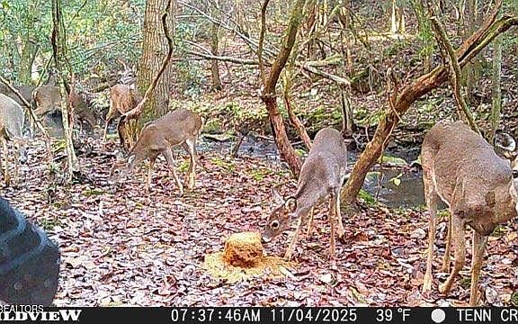 29th image of this home