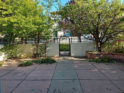 Front yard