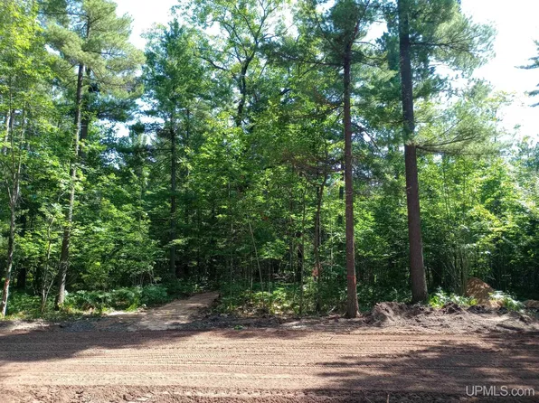 White Pine Lot 2 Way Off Forestville Basin Trl, Marquette, MI 49855