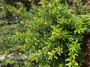 9065 Salamander Rd, Charleston, SC 29406