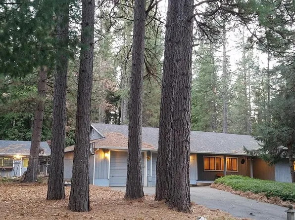7028 Sugar Pine Dr, Grizzly Flats, CA 95636