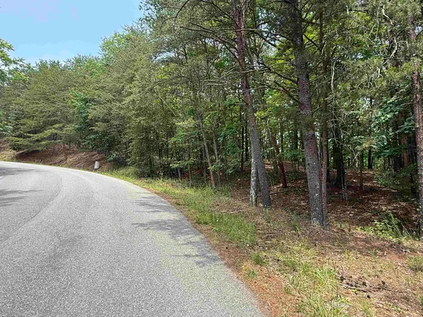 Laurel Mountain Dr, Salem, VA 24153