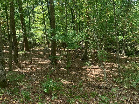 5th image of 18 Acceso Cir