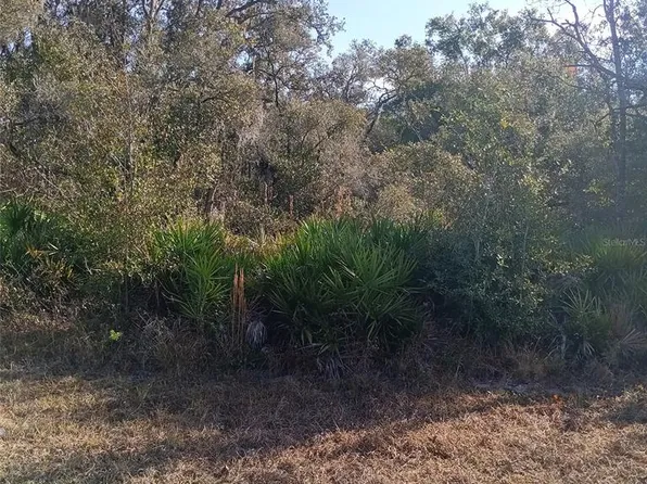 8110 TREIMAN BOULEVARD LOT 63, WEBSTER, FL 33597