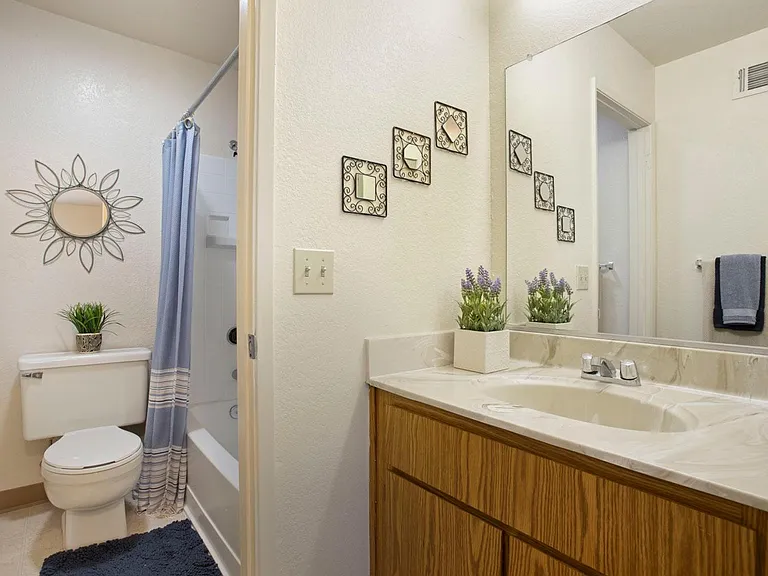 2 Bedroom 2 Bath Downstairs (Classic)