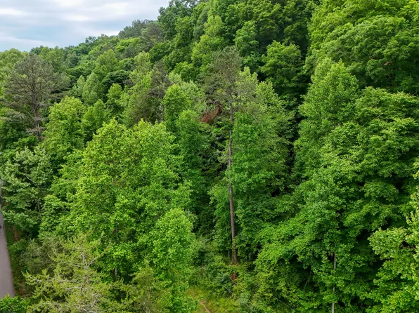 8295 Highway 1003, Somerset, KY 42501