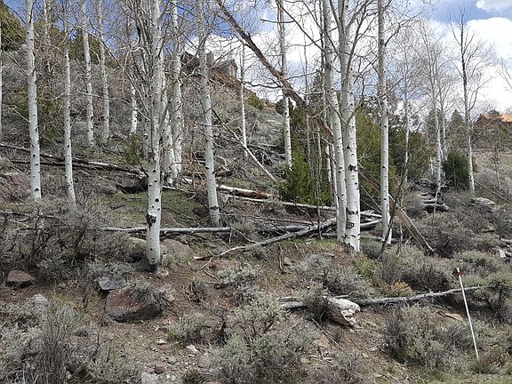 4th image of 352 N Meadowlark Dr
