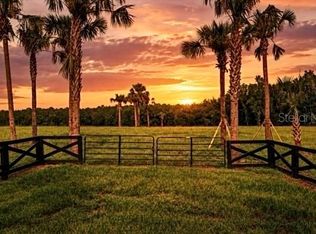 TBD HWY 329 0, REDDICK, FL 32686