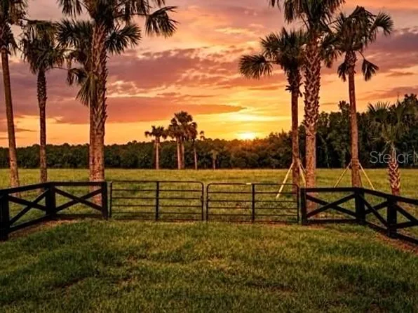 TBD HWY 329 0, REDDICK, FL 32686