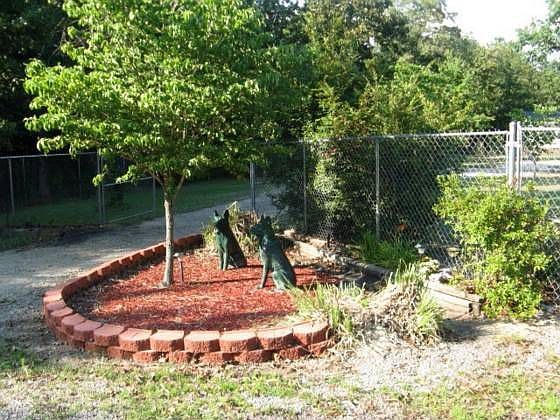 2nd image of 109 Lineberger Ln