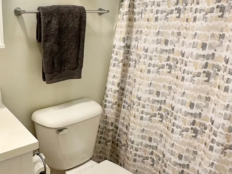 Tub and shower