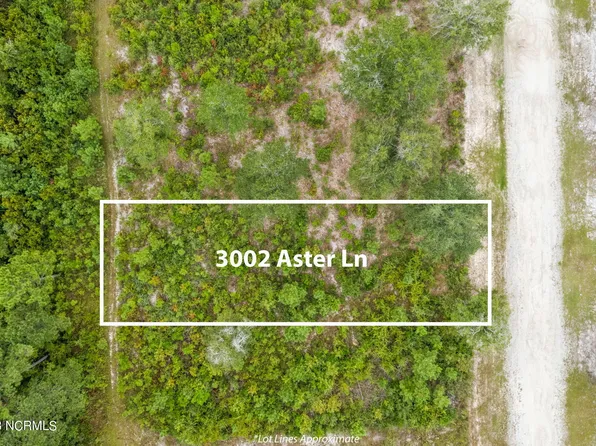 3002 Aster Lane SW, Supply, NC 28462