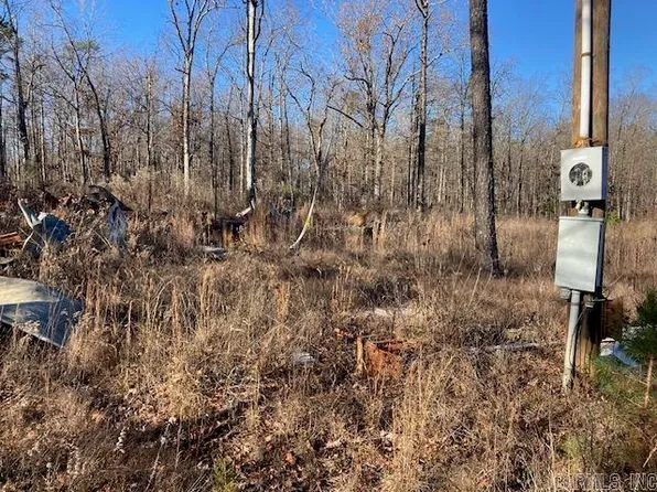 580 Firehouse Ln, Shirley, AR 72153