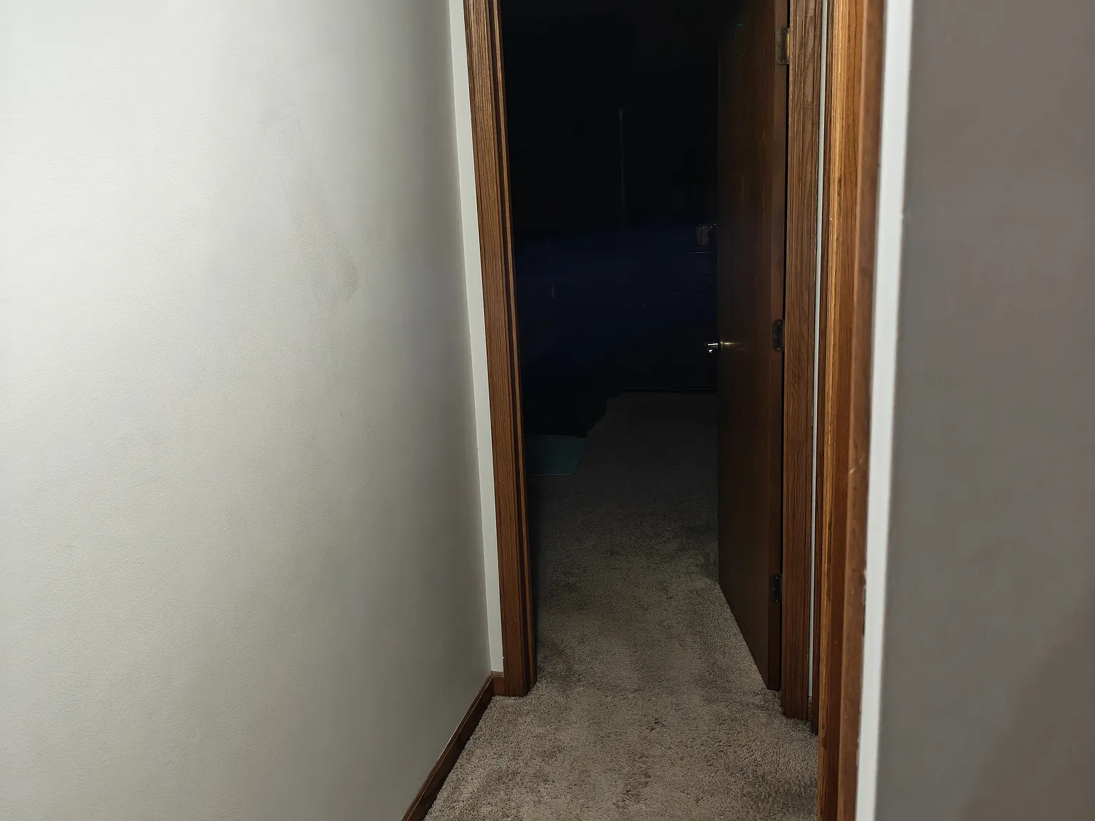 3 bed, 1679 sqft, $2,700 — Photo 2