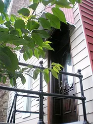 683 Lorimer Street in Williamsburg