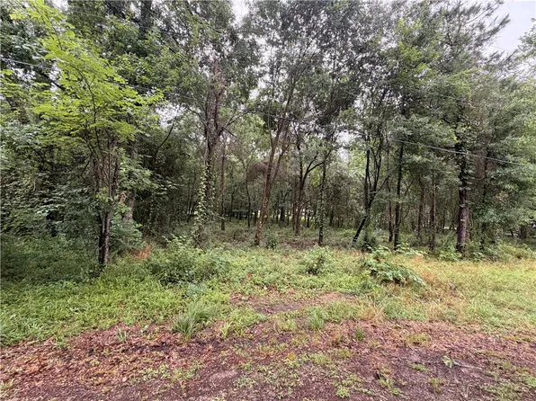 5265 Pecan Tree Ln, Montgomery, TX 77316