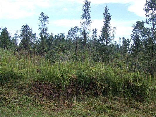 2nd image of Lehua St Lot 6978