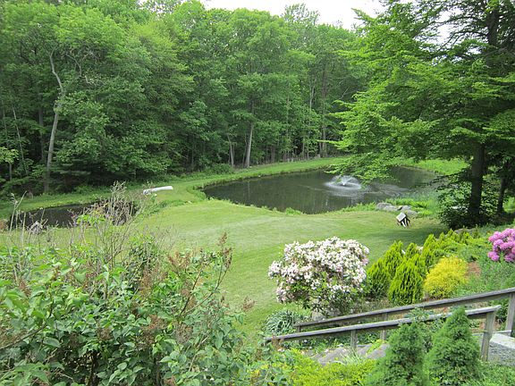 view of pond from back of house / backyard