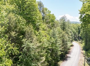 99999 View Dr #5, Horse Shoe, NC 28742