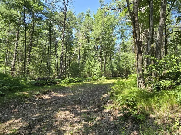 W Maplehurst Dr, Roscommon, MI 48653
