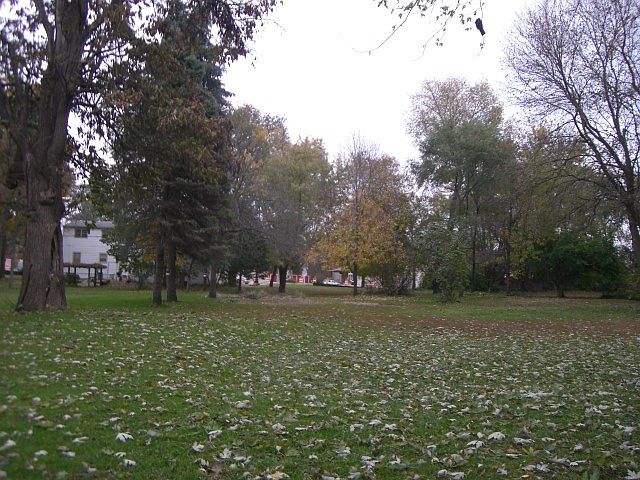 2nd image of Louise St