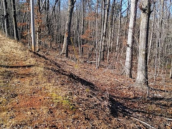 2nd image of 0 County Line Rd S