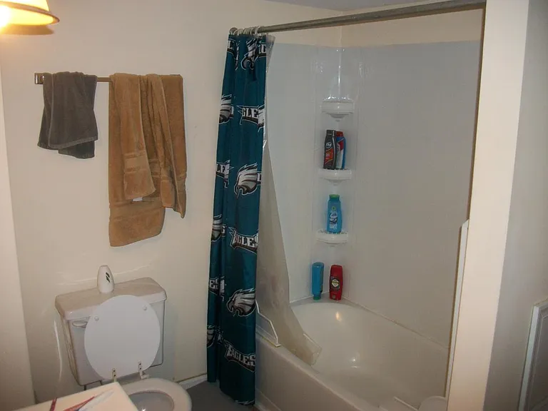 Bathroom 2 (Pic 1 of 2)