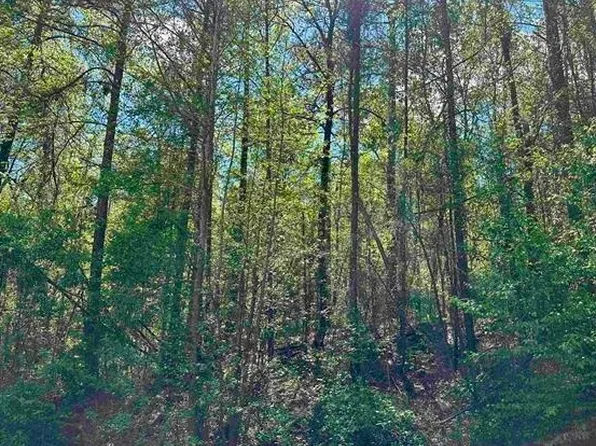 LOT 3 Alexander Way, Fort Valley, GA 31030