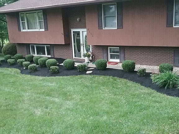 Spring on Doncrest Ct