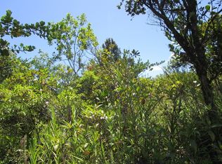 3rd Ave LOT 1389, Keaau, HI 96749