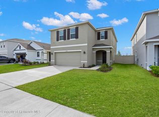 31154 Penny Surf Loop, Wesley Chapel, FL 33545