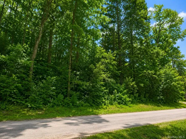 Benton Hollow Road, Neversink, NY 12765