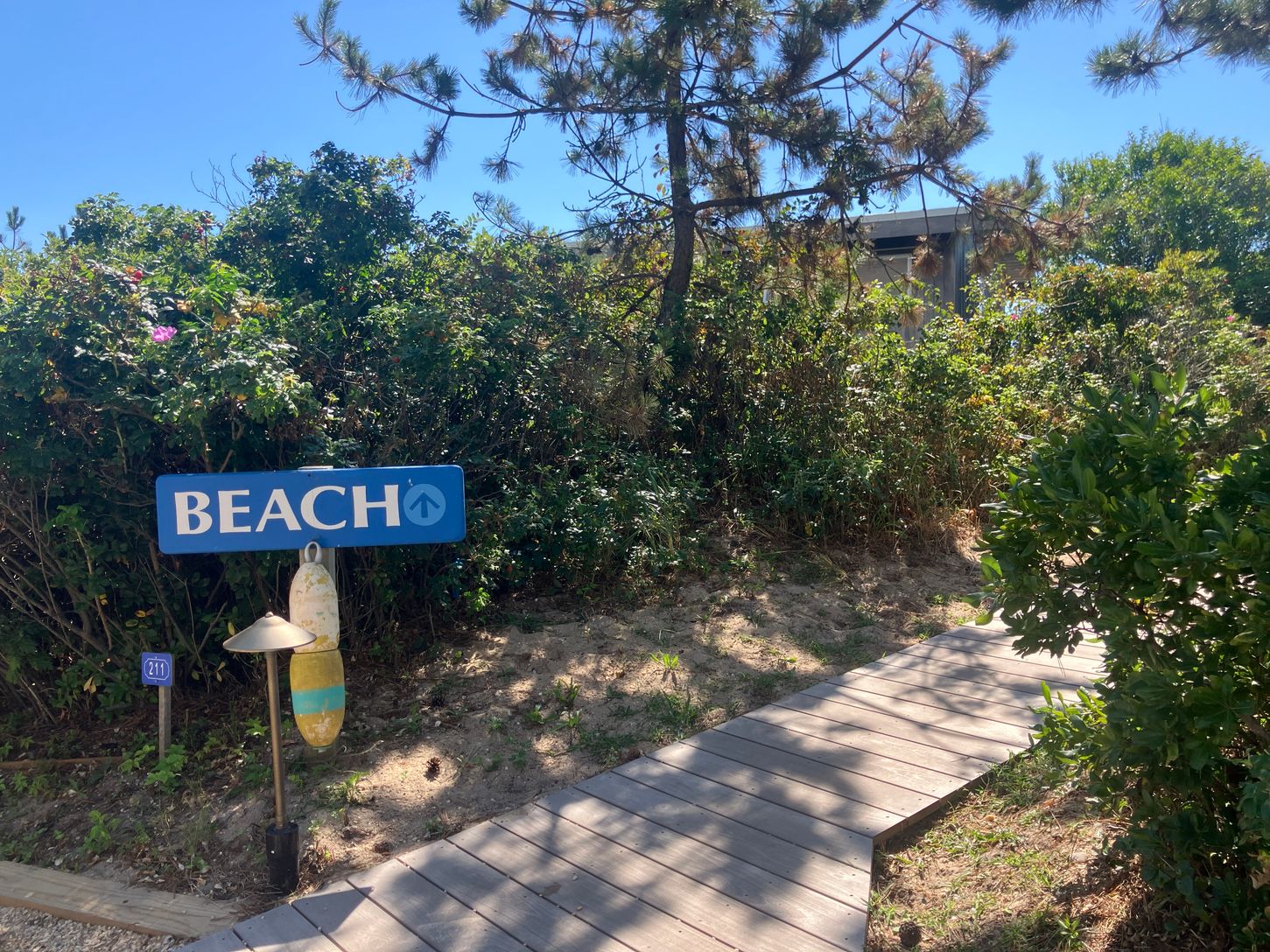 path to beach