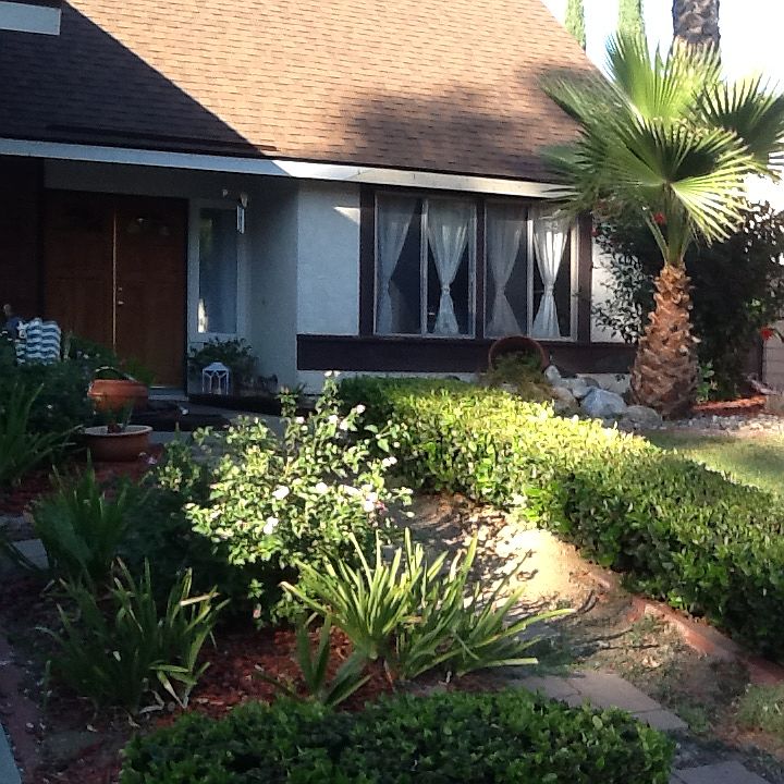 1st image of 1465 Calle De Oro